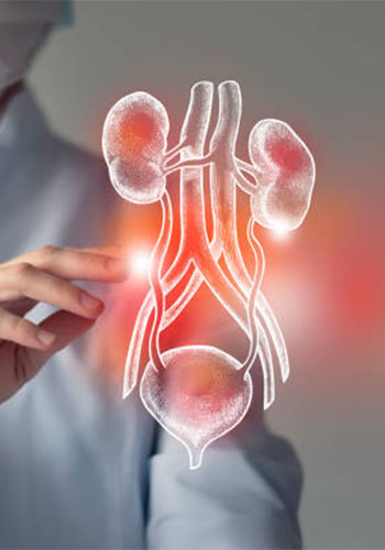 Urologist in Guntur